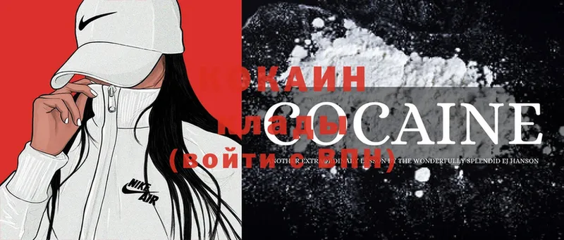 COCAIN Fish Scale  купить  цена  mega ТОР  Дятьково 